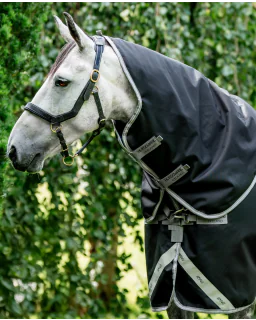 Black/Titanium Grey and Silver