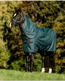 Dynasty Green/Navy and Silver