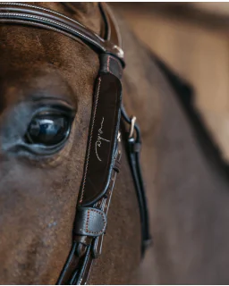 Blinkers Fancy fra Dy'on