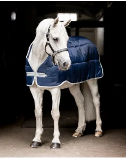 Liner i pony-model