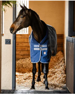  Navy/Titanium Grey and Classic Blue