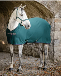 Navy/Titanium Grey and Silver