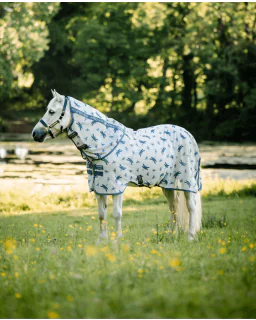 Silver/Titanium Grey and Silver