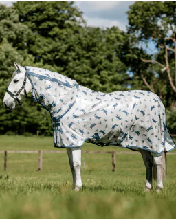 Silver/Titanium Grey and Silver