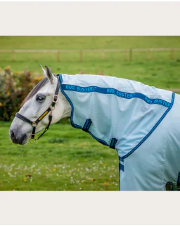 Azure Blue/Navy and Electric Blue