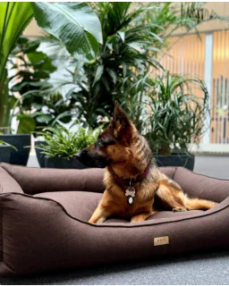 Ann Habor Lugano Hundeseng - Mørke Brun