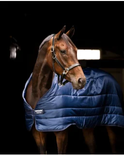 Horseware Liner 400g