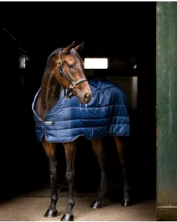 Horseware Liner 200G