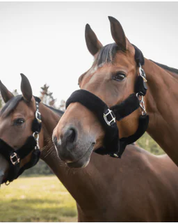 Audrey Plys Grime fra Back on Track