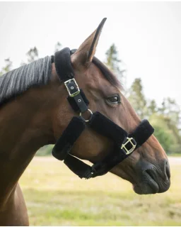 ELT Classic Jodphur støvler - billed 3