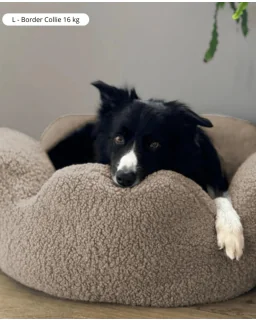 Barkly Flower Bed Hundekurv