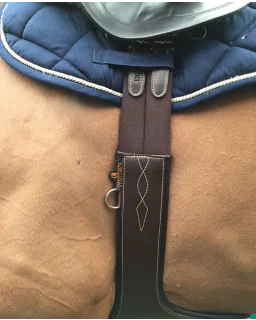 Pladegjord fra Kentucky Horsewear-Brown