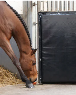 Sparkeplade fra Kentucky Horsewear