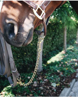 Hingstekæde fra Kentucky Horsewear