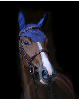 Hut Wellington fra Kentucky Horsewear-Dark Navy