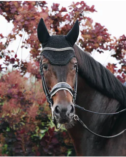 Hut Wellington Sparkling fra Kentucky Horsewear-Black