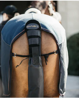 Halebeskytter med pose fra Kentucky Horsewear