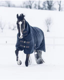 Turnout Rug All Weather Waterproof Pro 300G fra Kentucky Horsewear-Navy