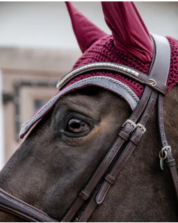 Hut Wellington Velvet Contrast fra Kentucky Horsewear-Bordeaux