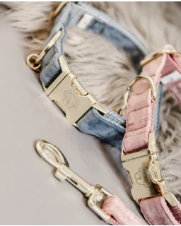 Hundehalsbånd fra Kentucky - Light blue, Old rose