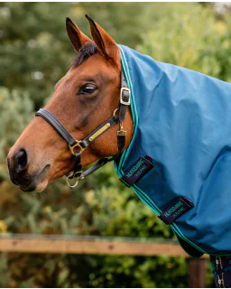 Rhino Turnout Hood/0g fra Horseware - Navy/Aqua, Grey