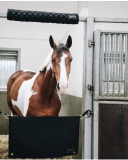 Hovedbeskytter til Boks fra Kentucky Horsewear-Black