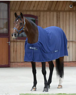 Bucas Shamrock Power