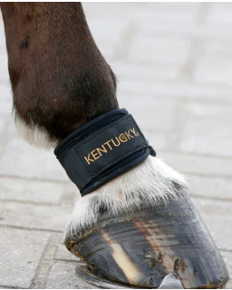 Kodeledsbånd fra Kentucky Horsewear