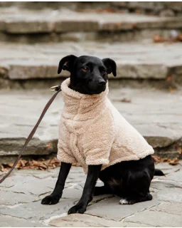Hundetrøje Teddy Fleece fra Kentucky