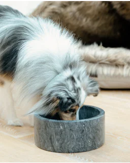 Hundeskål Marble fra Kentucky