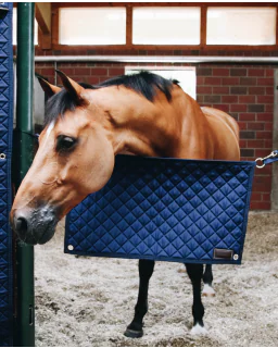 Stable Guard fra Kentucky Horsewear-Navy