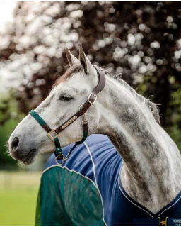  Brown/Navy and Hunter Green