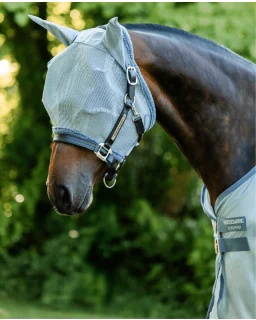 Amigo Flymask fra Horseware