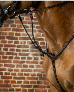 Martingal Elastik til Fortøj D Collection fra Dy'on