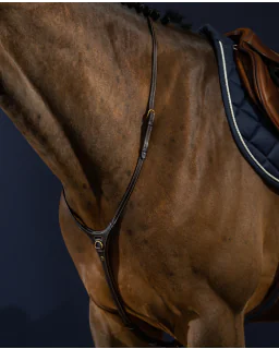 Yoke Martingal D Collection fra Dy'on