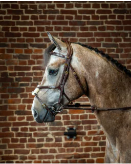 Mexicansk Trense D Collection fra Dy'on