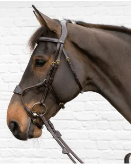 Trense Elastic Hybrid D Collection fra Dy'on