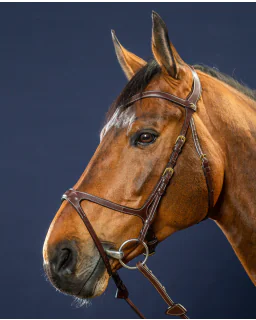 X-Fit Trense D Collection fra Dy'on