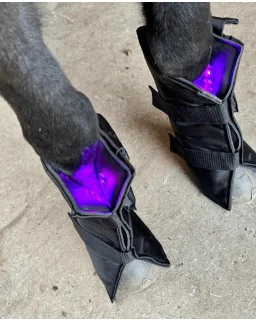 2 x Equine LTS 3.0 + 2 elastikker