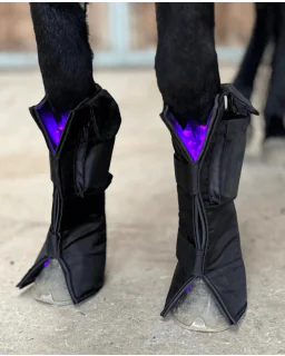 Equine LTS 3.0 + 2 elastikker