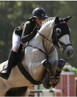 Fenwick Liquid Titanium Maske med ører