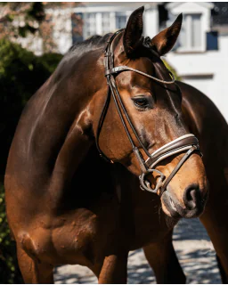 Finesse Trense Cassidy Brun/Beige/Guld