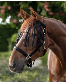 Waldhausen Fluepandebånd m. frynser