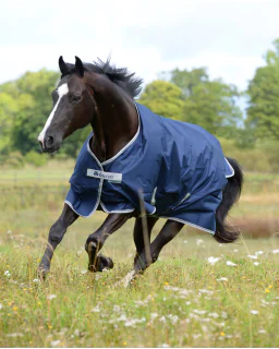 Bucas Freedom Turnout 150G