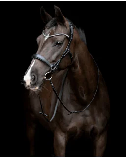 CATAGO Gentle Bridle Komplet Trense