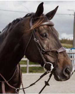 Dy'on Elastic Hybrid Trense New English Collection