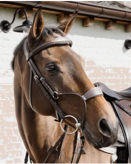 Dy'on Hybrid Trense New English Collection