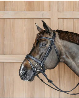 Trense med Plaited Flash Næsebånd med Tilbagetræk New English fra Dy'on