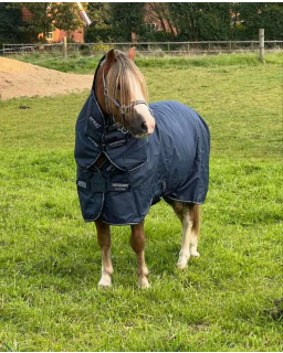 Amigo Pony Plus 50 G