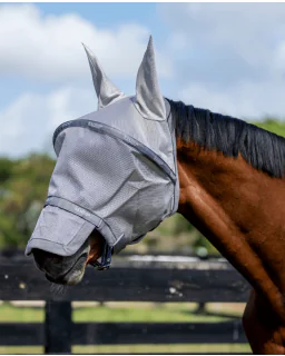 Silver/Titanium Grey and Silver